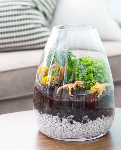 terrarium11