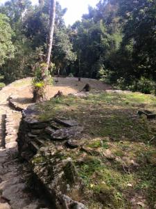 12049106_10153152791610222_9150348931062042407_n