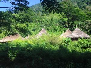 12118830_10153152791235222_5206311113091372049_n