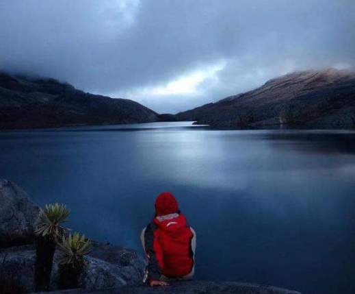 WhatsApp Image 2020-05-21 at 11.48.06 (1)