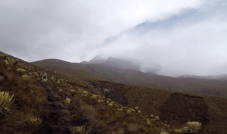 Captura de pantalla 2020-09-16 a la(s) 3.57.07 p. m.